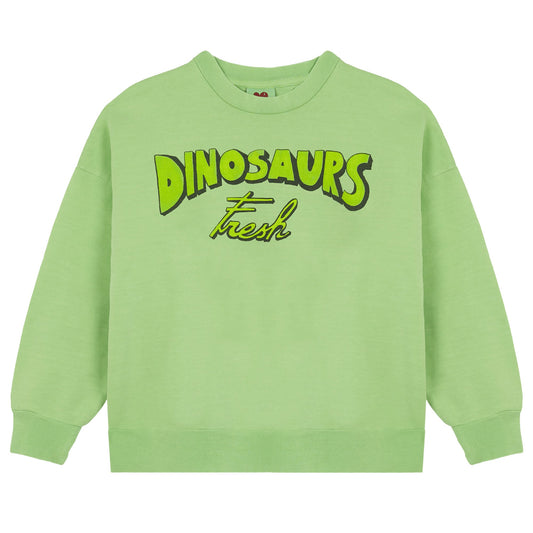Fresh Dinosaurs Sweatshirt - Samples