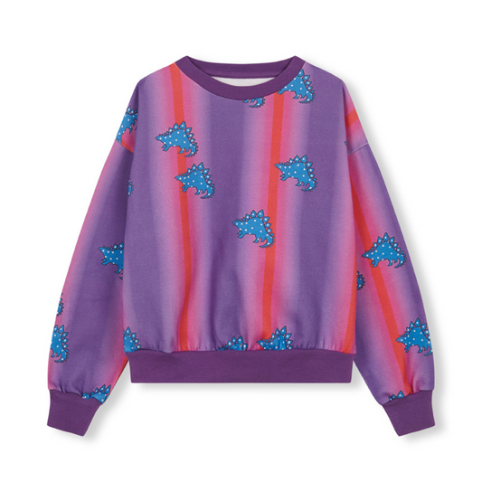 Space Dinosaurs Sweatshirt - Samples